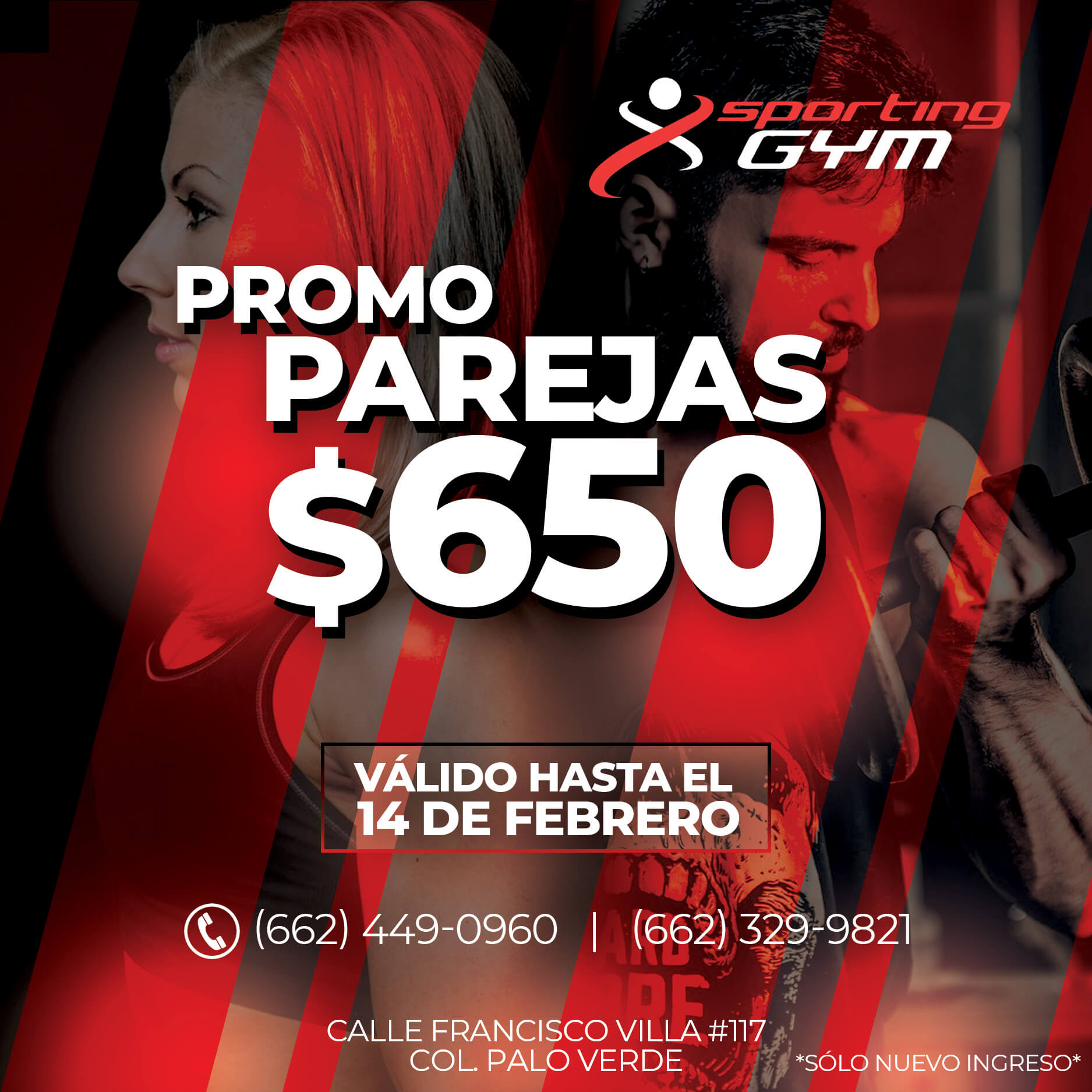 Sporting Gym