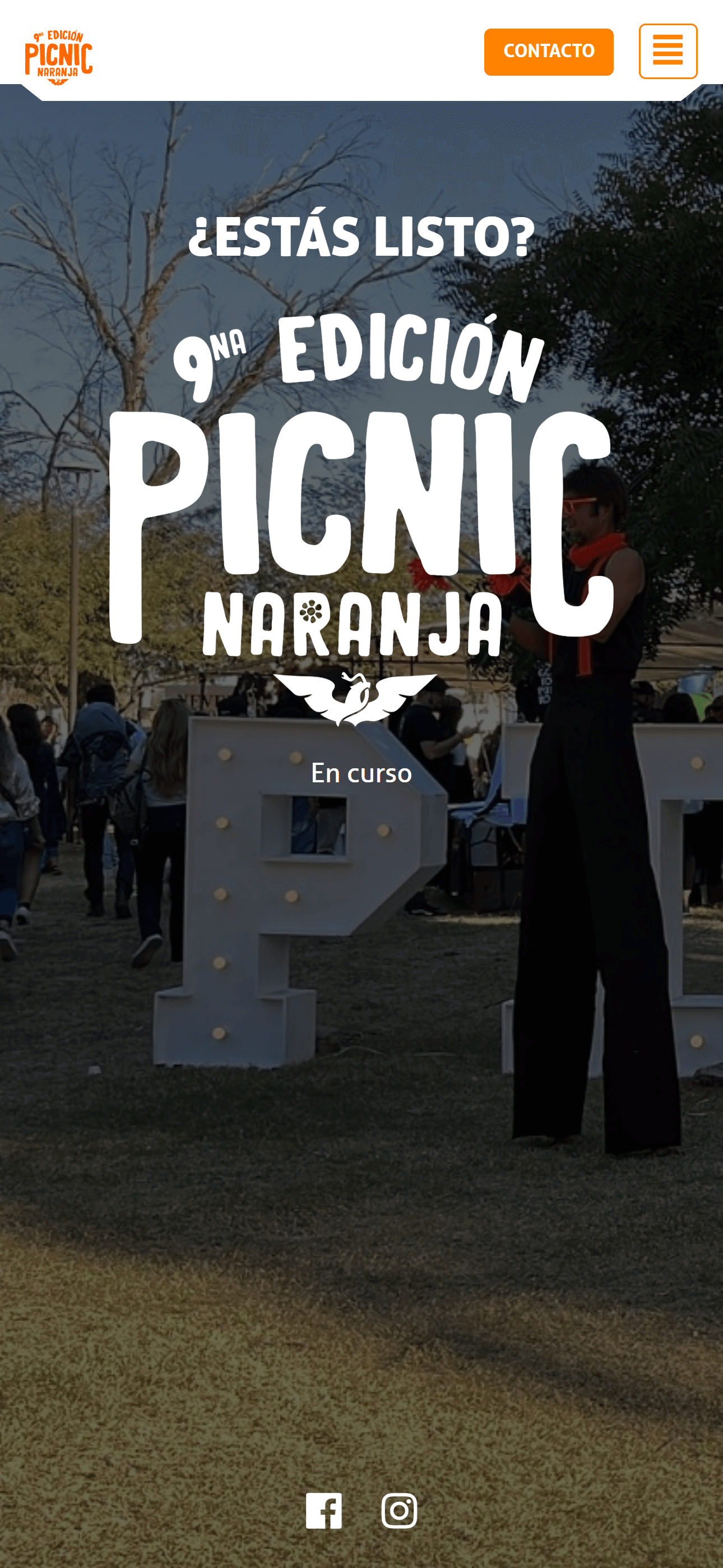 Picnic Naranja
